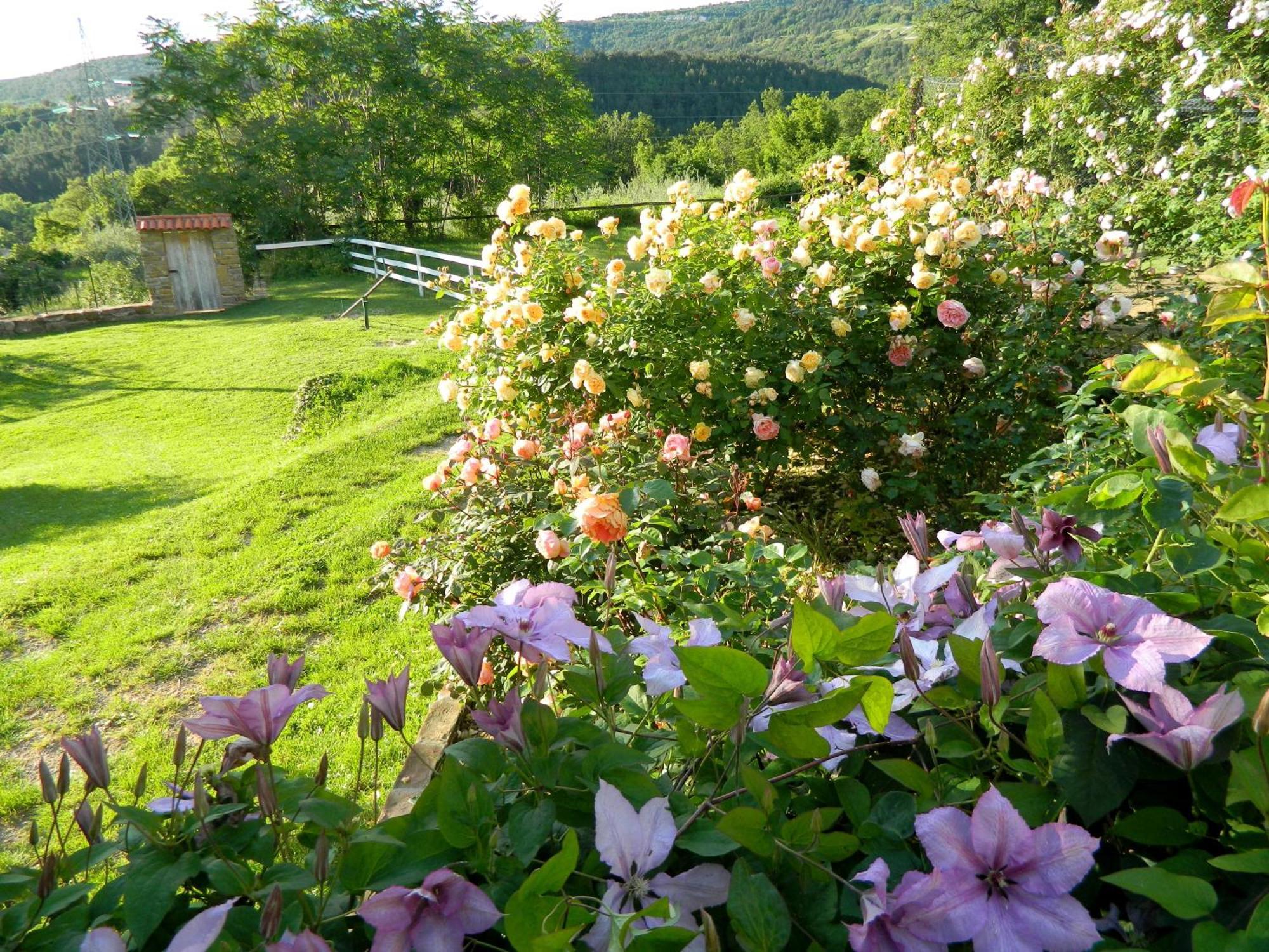 The Hug Of Nature Dekani Exterior foto