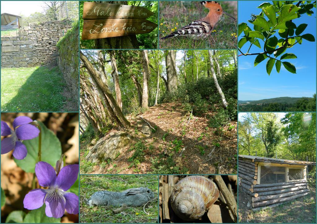 The Hug Of Nature Dekani Exterior foto